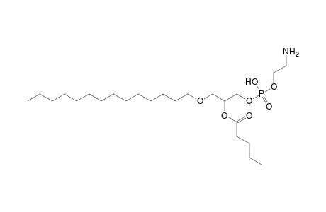 PE O-14:0_5:0