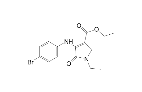 4-(p-bromoanilino)-1-ethyl-5-oxo-3-pyrroline-3-carboxylic acid, ethyl ester