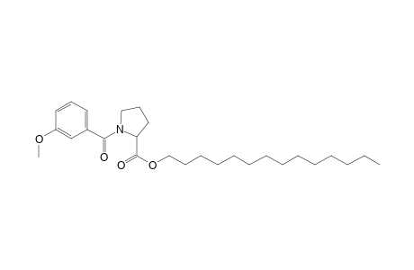 L-Proline, N-(3-methoxybenzoyl)-, tetradecyl ester