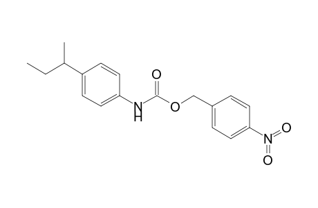 Carbamic acid, [4-(1-methylpropyl)phenyl]-, (4-nitrophenyl)methyl ester