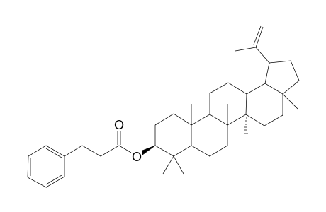 3.beta.-O-dihydrocinnamoyl-lupeol