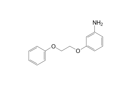 m-(2-phenoxyethoxy)aniline