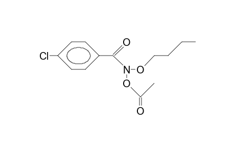 N-Acetoxy-P-chloro-benzohydroxamic acid, butyl ester