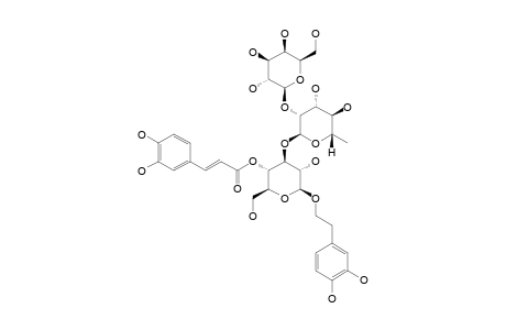 LAMALBOSIDE;2-(3,4-DIHYDROXYPHENYL)-ETHYL-O-BETA-D-GALACTOPYRANOSYL-(1->2)-ALPHA-L-RHAMNOPYRANOSYL-(1->3)-4-O-TRANS-CAFFEOYL-BETA-D-GLUCOPYRANOSIDE