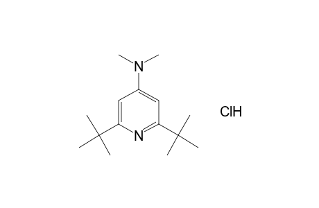 2,6-di-tert-butyl-4-(dimethylamino)pyridine, monohydrochloride