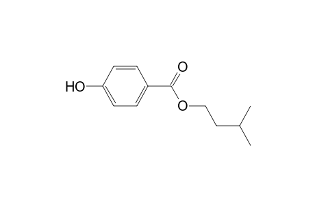 p-hydroxybenzoic acid, isopentyl ester