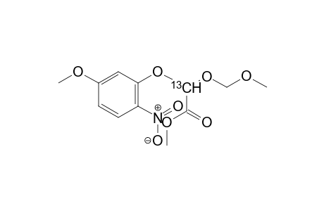 Methyl [(2-13C*)-methoxymethoxy]-[(5'-methoxy-2'-nitrophenoxy)-acetate