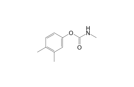 MEOBAL