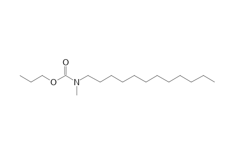 Carbamic acid, N-methyl-N-dodecyl-, propyl ester