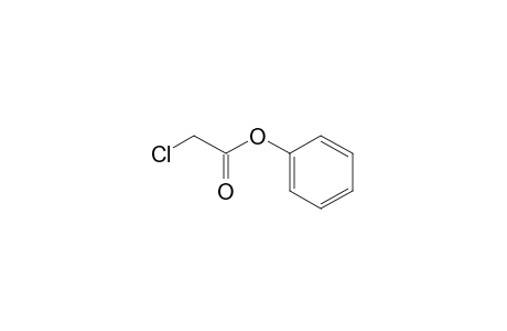 Chloroacetic acid, phenyl ester