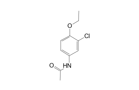 3'-Chloro-p-acetophenetidide