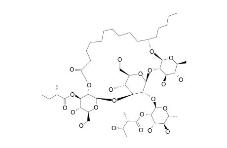 CALYSOLIN_I;11-S-JALAPINOLIC_ACID_11-O-(2-O-2-S,3-S-NILOYL)-ALPHA-L-RHAMNOPYRANOSYL-(1->2)-[0-(3-O-2-S-METHYLBUTYRYL