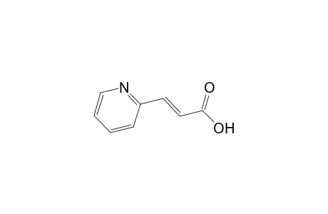 (E)-3-(2-pyridyl)acrylic acid
