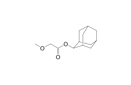 Methoxyacetic acid, 2-adamantyl ester