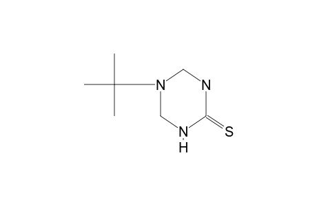5-tert-butyltetrahydro-s-triazine-2(1H)-thione