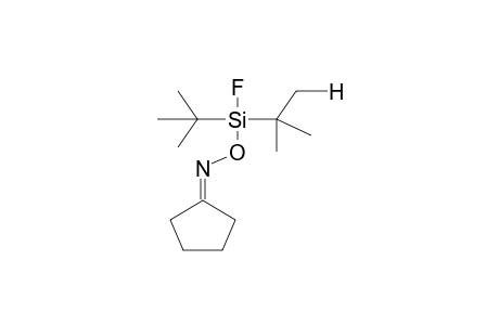 O-DI(TERT-BUTYL)FLUOROSILYLCYCLOPENTANONE OXIME