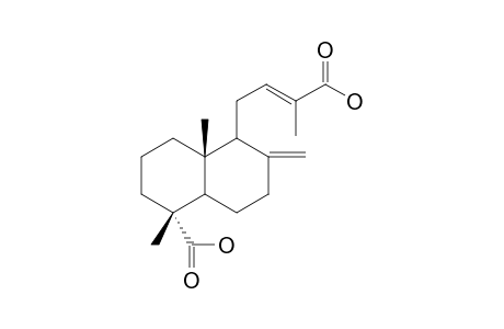 15-NOR-14-OXO-8(17),12-LABDANDIENE-14,18-DIOIC_ACID