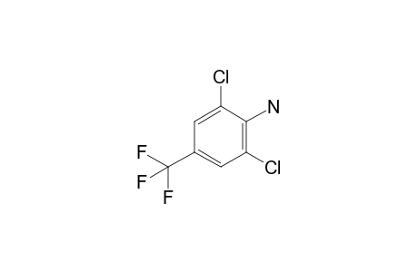 2,6-Dichloro-4-(trifluoromethyl)aniline