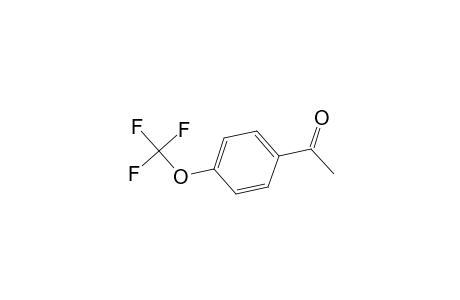 4'-(Trifluoromethoxy)acetophenone