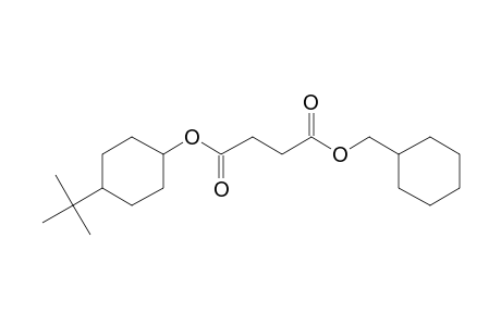 Succinic acid, cyclohexylmethyl cis-4-tert-butylcyclohexyl ester