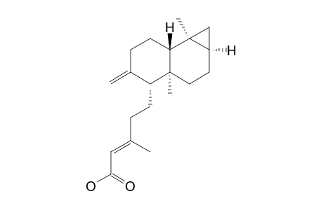 (E)-5-[(1aR,3aS,4R,7aR,7bS)-3a,7b-dimethyl-5-methylene-1,1a,2,3,4,6,7,7a-octahydrocyclopropa[a]naphthalen-4-yl]-3-methyl-2-pentenoic acid