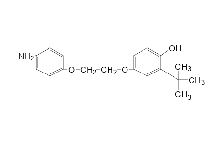 4-[2-(p-aminophenoxy)ethoxy]-2-tert-butylphenol