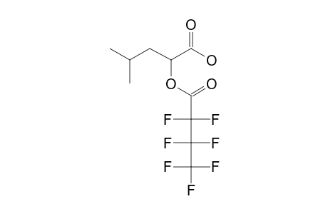 2-Hydroxyisocaproic acid, heptafluorobutyrate