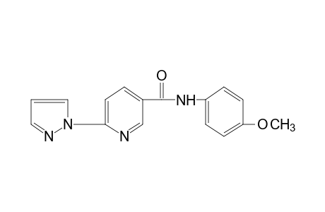 6-(Pyrazol-1-yl)-p-nicotinanisidide