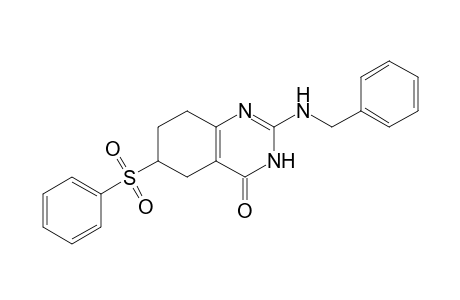 2-BENZYLAMINO-6-(PHENYLSULFONYL)-5,6,7,8-TETRAHYDRO-3H-QUINAZOLIN-4-ONE