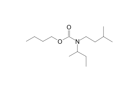 Carbamic acid, N-(2-butyl)-N-(3-methylbutyl)-, butyl ester