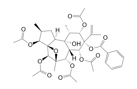 TRIGONOTHYRIN-D