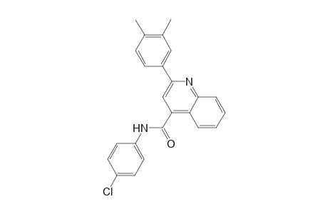 N-(4-chlorophenyl)-2-(3,4-dimethylphenyl)-4-quinolinecarboxamide