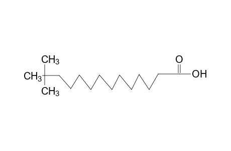 13,13-dimethyltetradecanoic acid
