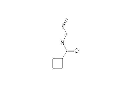 Cyclobutylcarboxamide, N-allyl-