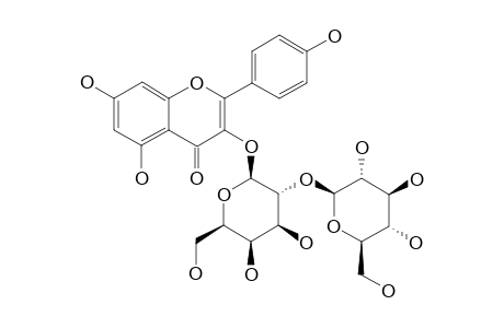 KAEMPFEROL-3-O-BETA-D-GLUCOPYRANOSYL-(1->2)-BETA-D-GALACTOPYRANOSIDE