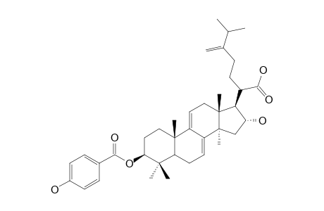 3-BETA-PARA-HYDROXYBENZOYLDEHYDROTUMULOSIC-ACID