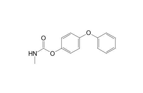 p-Phenoxyphenyl ester of methylcarbamic acid