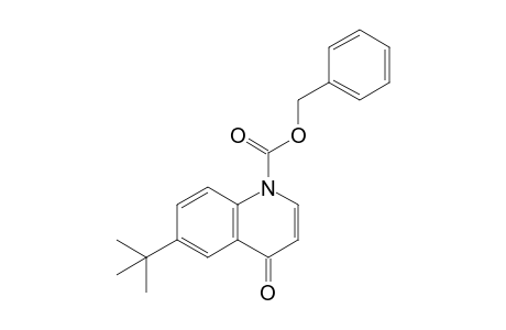 1-Benzyloxycarbonyl-6-tert-butyl-4-quinolone