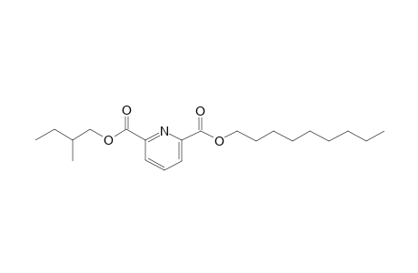 2,6-Pyridinedicarboxylic acid, 2-methylbutyl nonyl ester