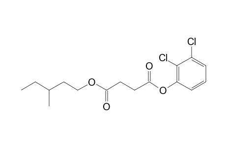 Succinic acid, 2,3-dichlorophenyl 3-methylpentyl ester