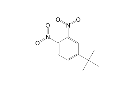 4-tert-BUTYL-1,2-DINITROBENZENE