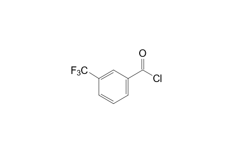 alpha,alpha,alpha-TRIFLUORO-m-TOLUOYL CHLORIDE