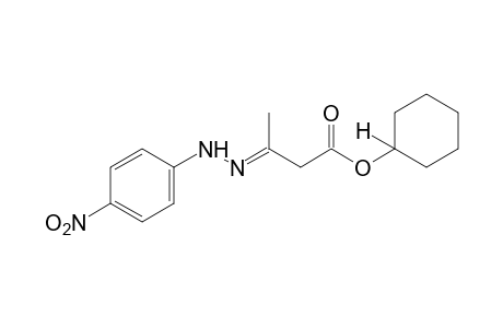 acetoacetic acid, cyclohexyl ester, p-nitrophenylhydrazone