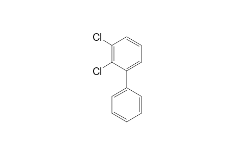 2,3-DICHLOR-BIPHENYL