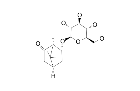 (1S,4R,6R)-6-HYDROXYCAMPHOR-BETA-D-GLUCOPYRANOSIDE