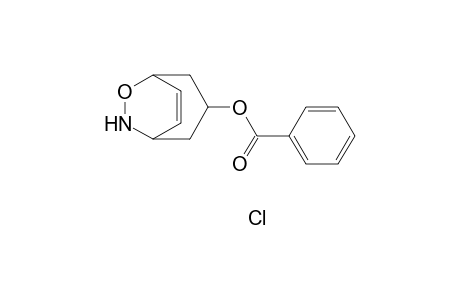 endo-3-(benzoyloxy)-8-oxa-9-azabicyclo[3.2.2]-non-6-ene hydrochloride