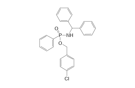 N-Diphenylmethyl-P-(4-chlorobenzyl)-P-phenyl-phosphonamide