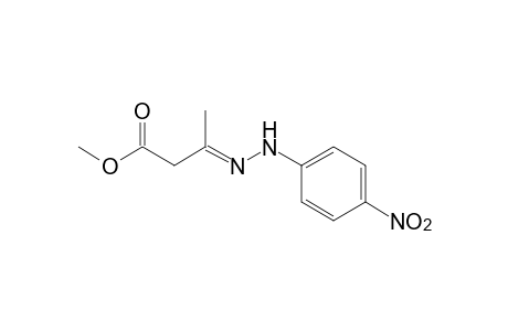 acetoacetic acid, methyl ester, p-dinitrophenylhydrazone