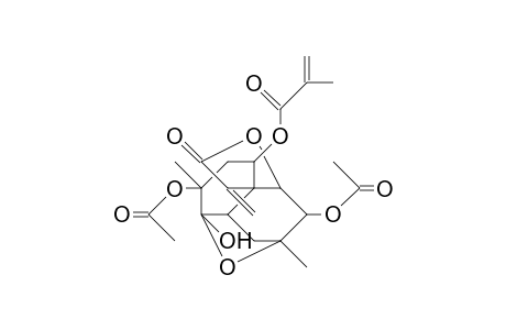 Compound-#4D