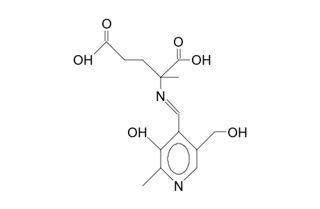 Pyridoxylidene A-methyl-L-glutamate